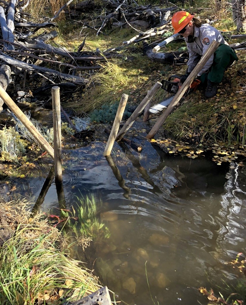 Pool forming upstream of a Beaver Dam Analog (BDA)